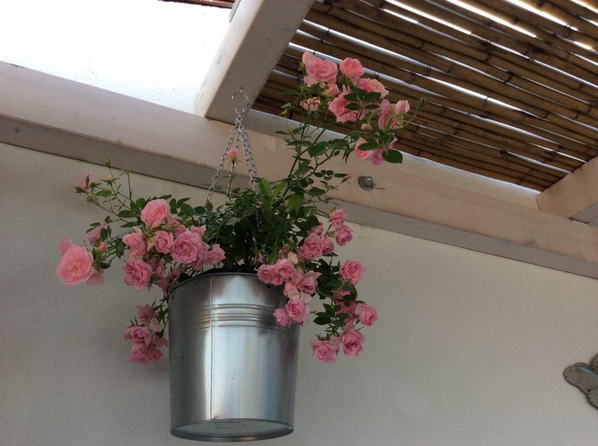 4 In Piazza Bed & Breakfast Sorso Dış mekan fotoğraf